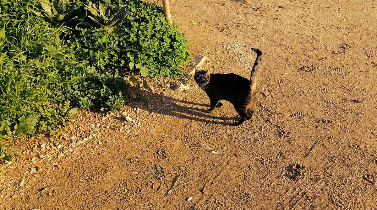 Фото сделано мной 