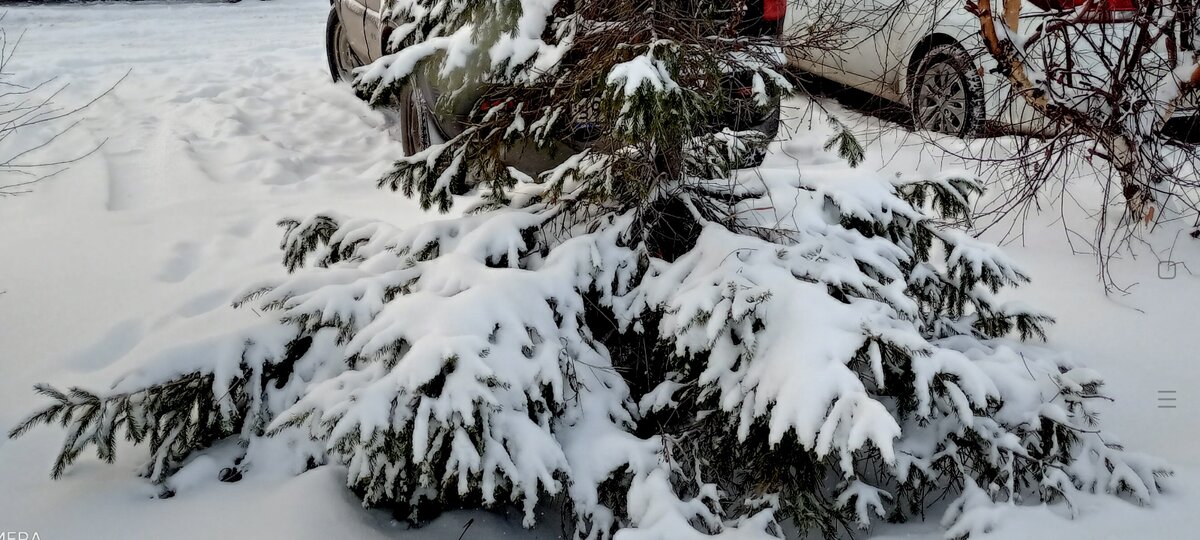 (Личное фото автора)