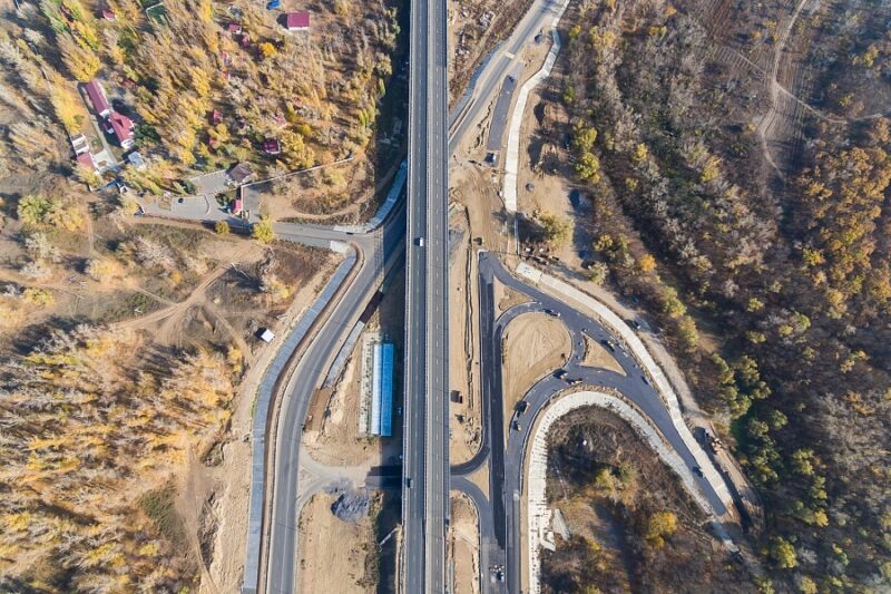 Планируется вырубить 8379 деревьев