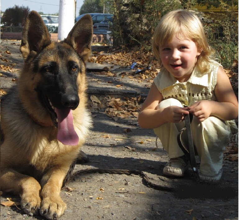 Щенок немецкой овчарки - Джек и моя дочурка годами ранее