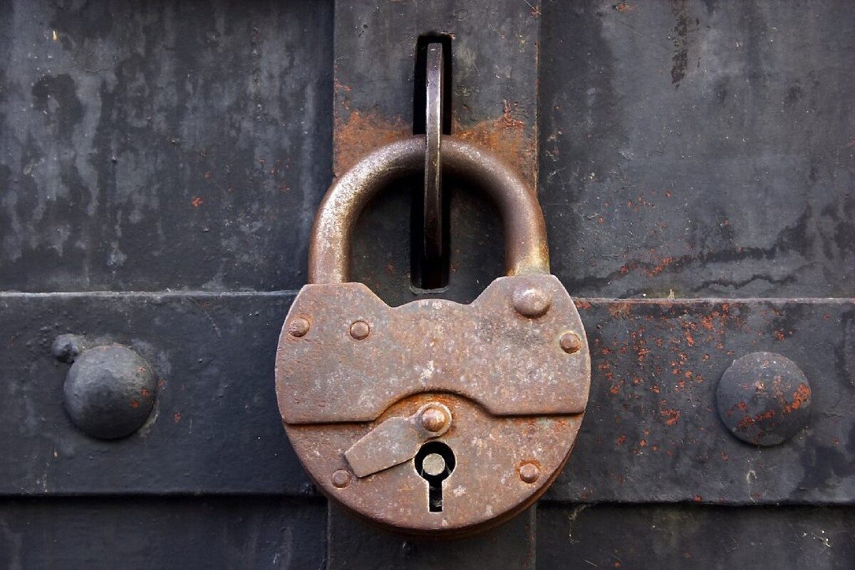 Фото из открытых источников.