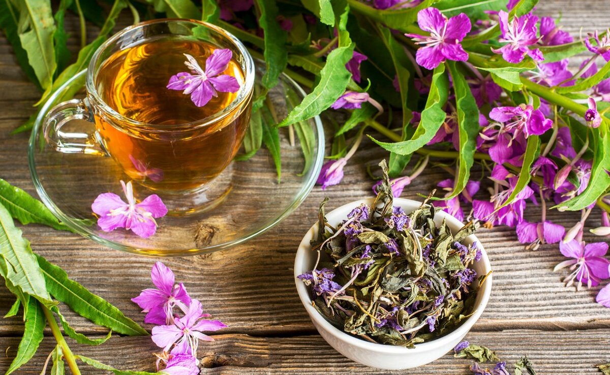 фото взято с yandex.ru