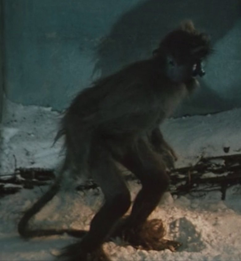 Чёрт из вечеров на хуторе близ деканьки. Вечера на хуторе близ диканьки фильм 1961 черт. Чёрт из фильма. Вечера на хуторе близ диканьки фильм 1961 черт. Черт из вечера на хуторе близ диканьки.