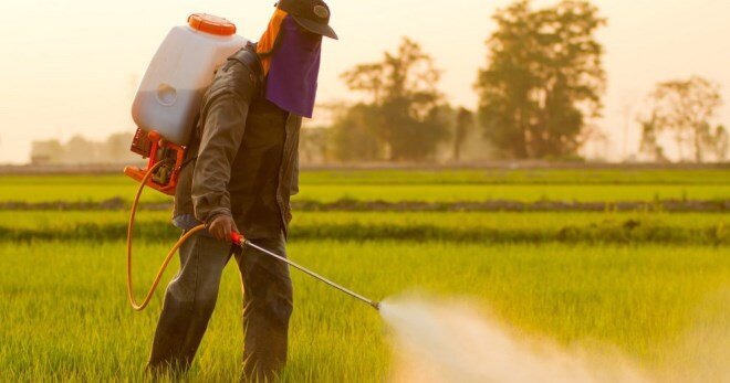 Обработка гербицидами