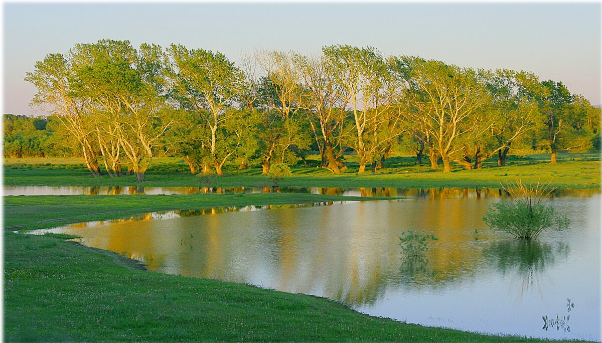 Фотография, стихотворение Василия Глуцкого