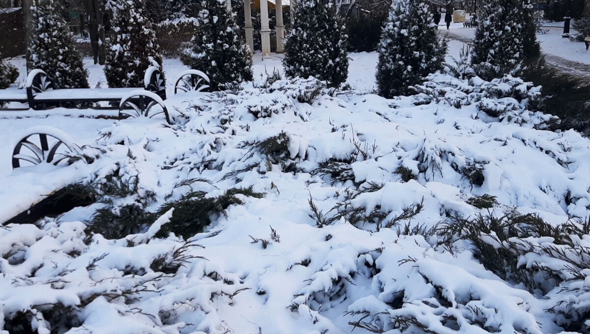 Городской парк заметает...