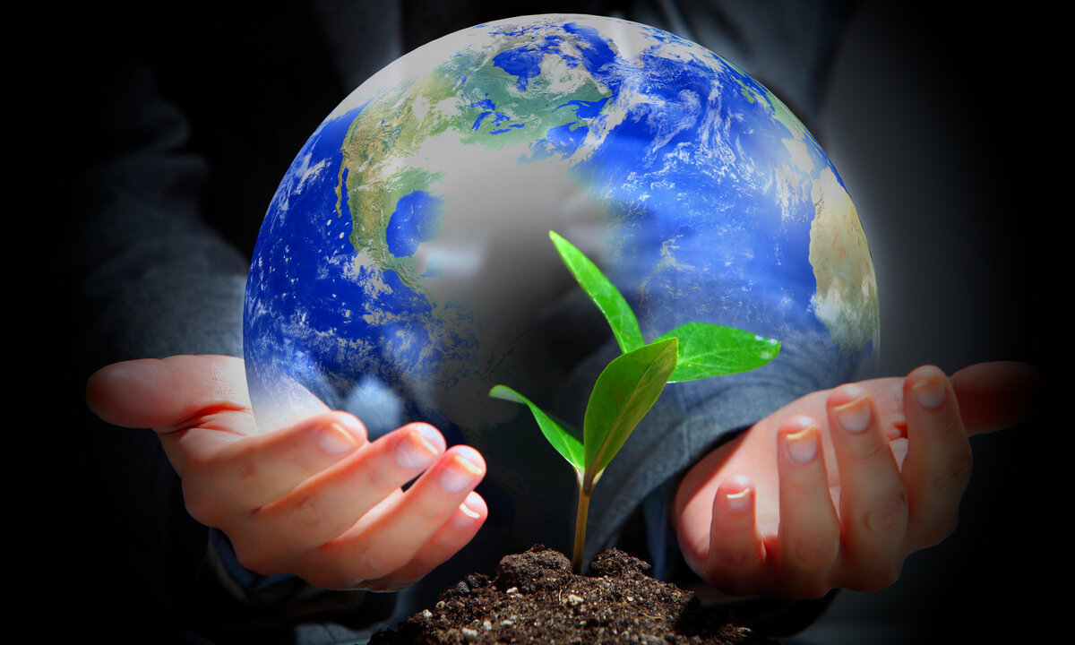 Проверь свои знания о мире. Источник Яндекс Картинки