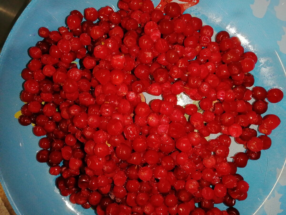 Брусника