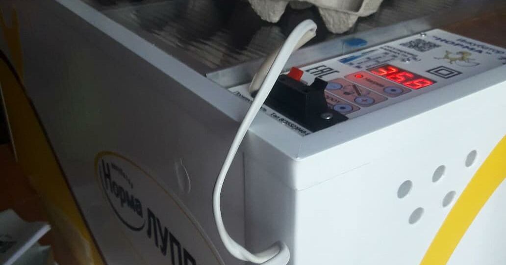 - КАКОЙ ИНКУБАТОР ВЫБРАТЬ?