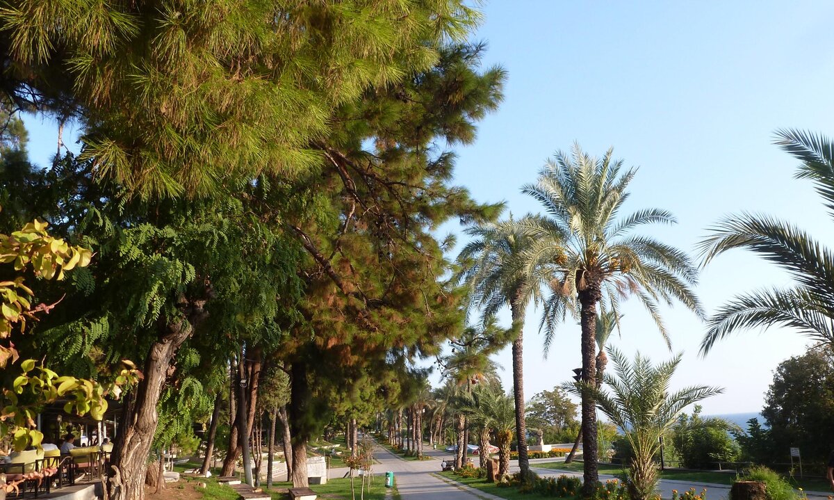 Парк в Анталии. Фото автора