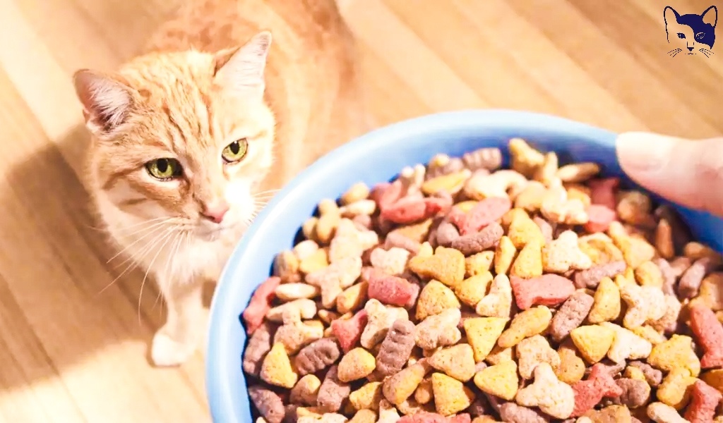 Источник изображения: Яндекс Картинки