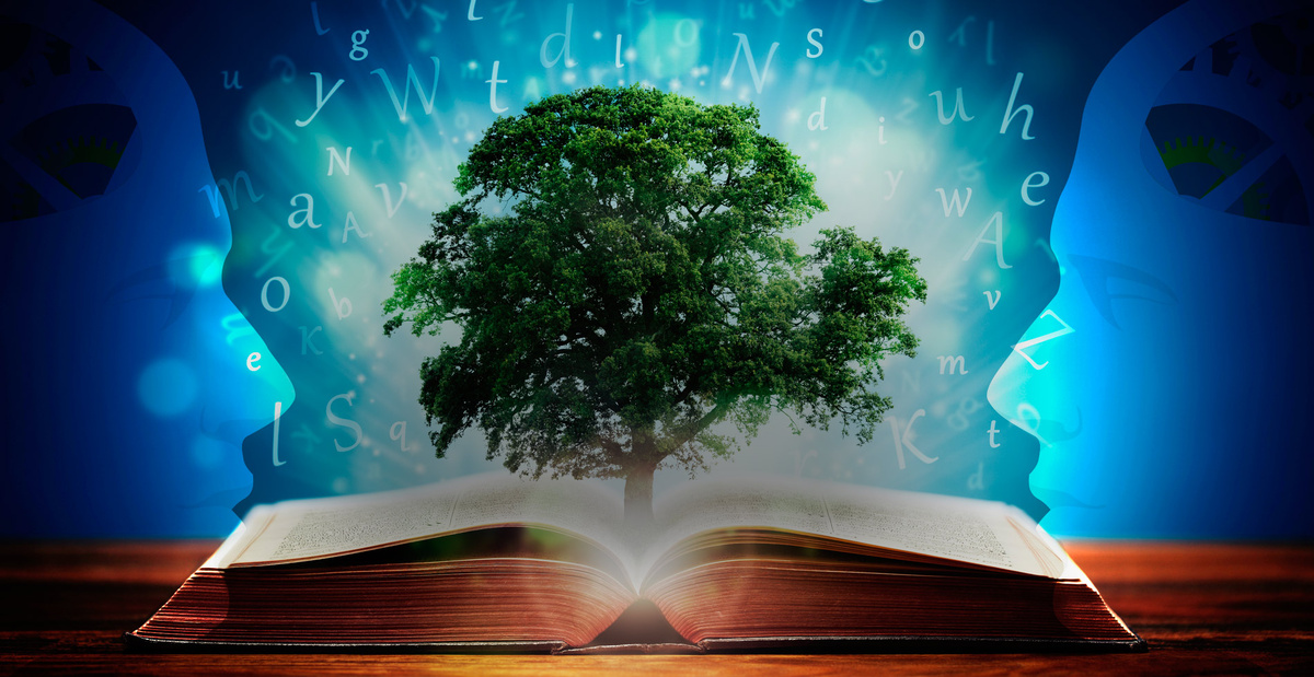 взята из галереи яндекс