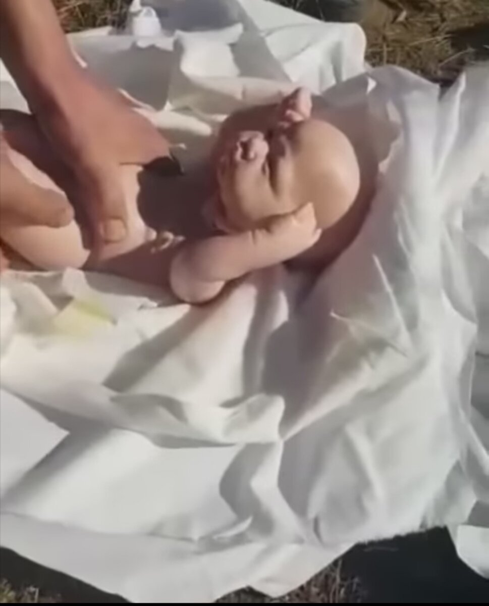 Стали известны обстоятельства подмены мертвых детей куклами. 