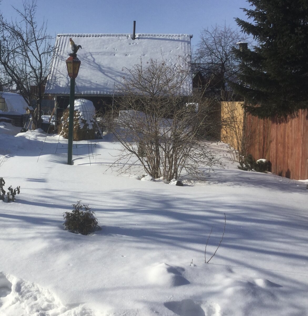 Все бело кругом