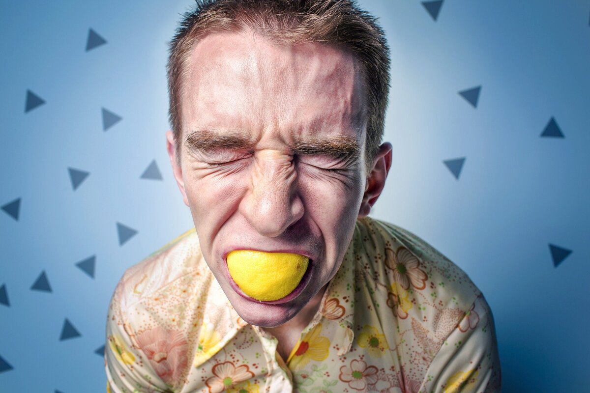 Фотография взята из открытого источника: https://pixabay.com/images/id-742766/