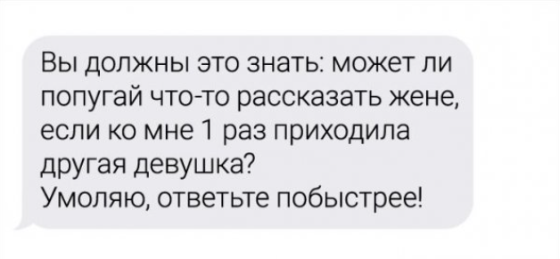 Фотография взята из свободного источника