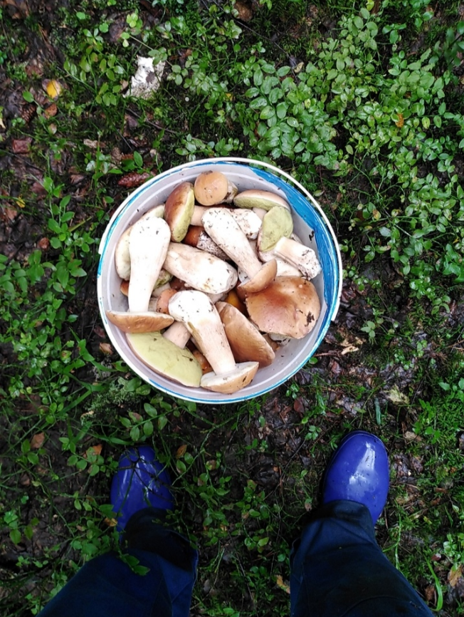 Фото Дмитрия Рощина