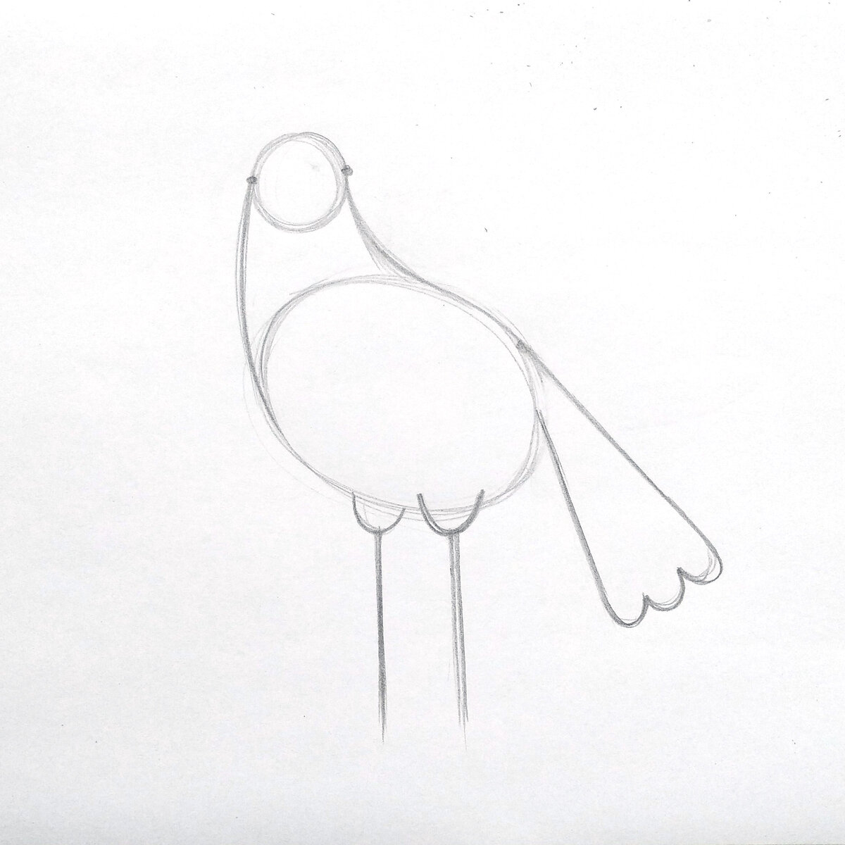 Птица почти оформилась