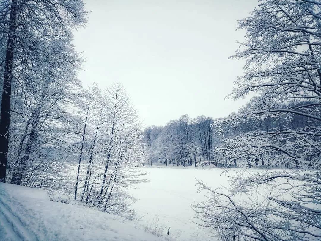 Фото — yandex.net