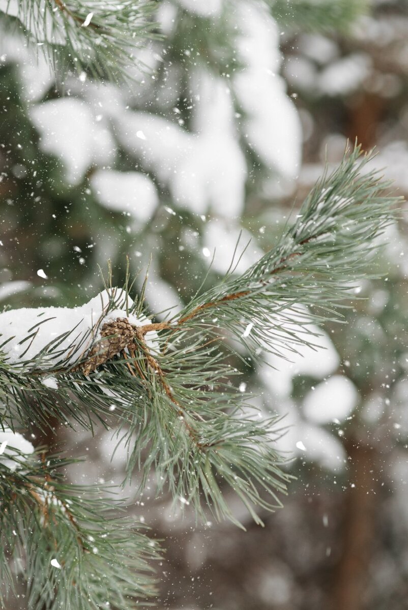 Радоваться жизни как ребенок. Детская суперспособность