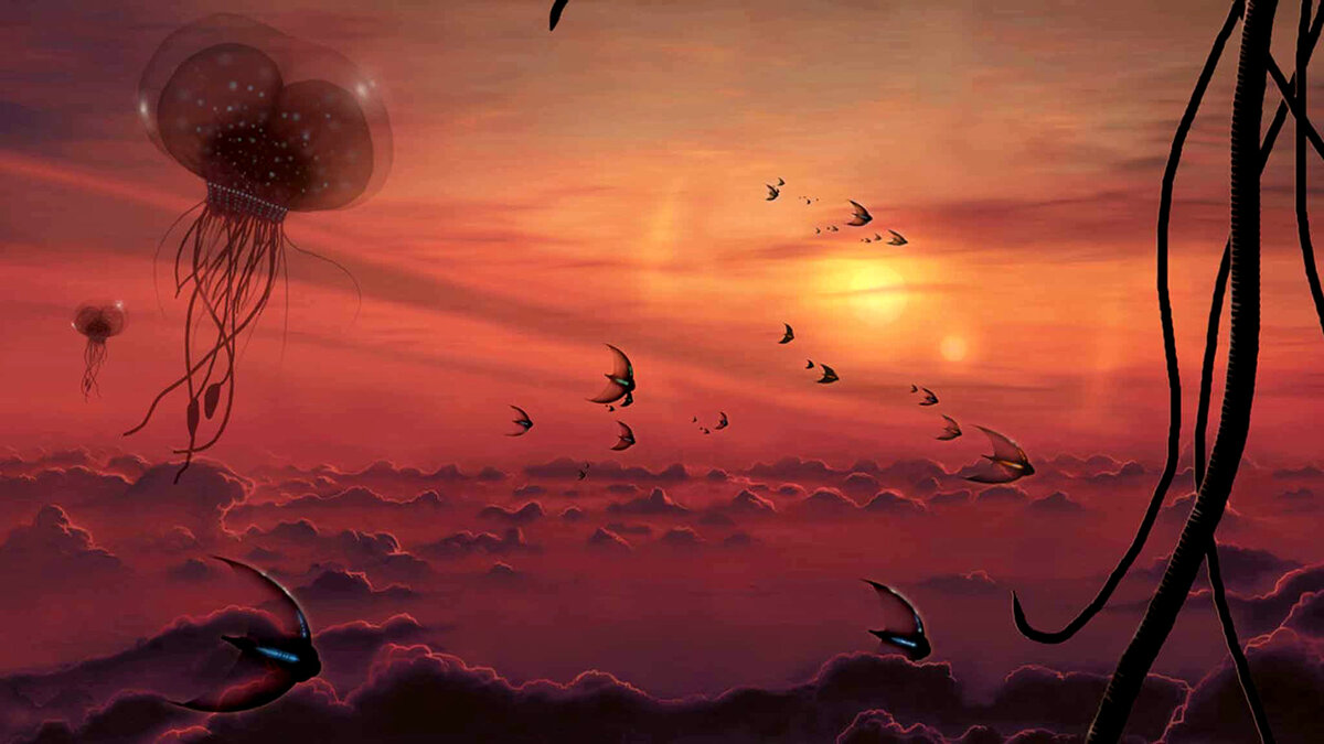 Аутентичные экосистемы плавающих существ в атмосфере Венеры в представлении художника. Фото: Science Mag