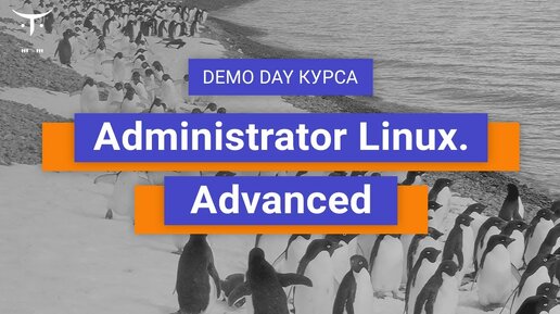 Demo day курса «Administrator Linux. Advanced»