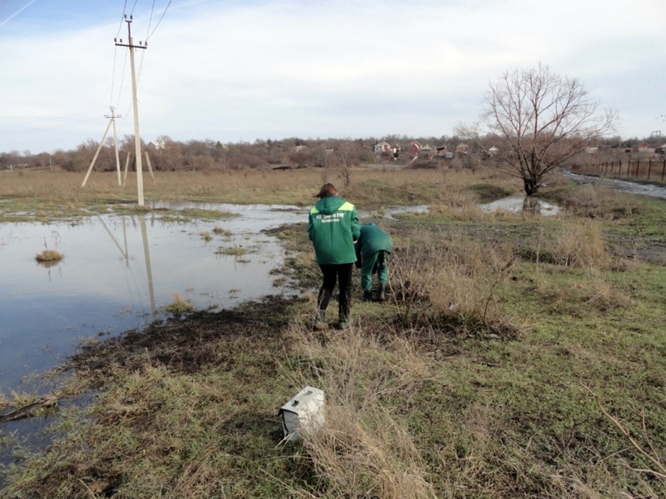 Фото: пресс-служба Росприроднадзора   