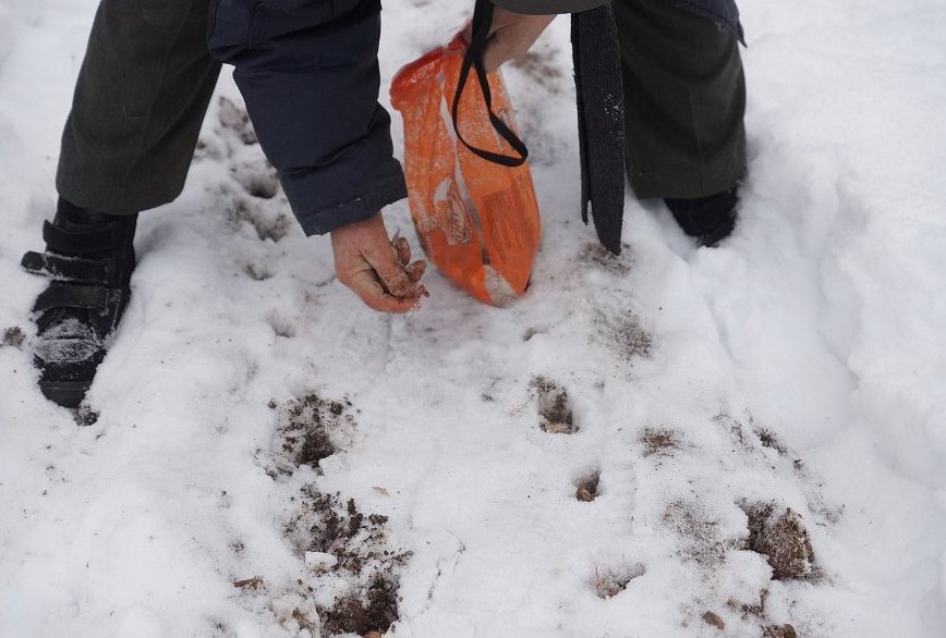 Фото из свободного доступа. Это не я и не моя грядка. Моя более привлекательна!