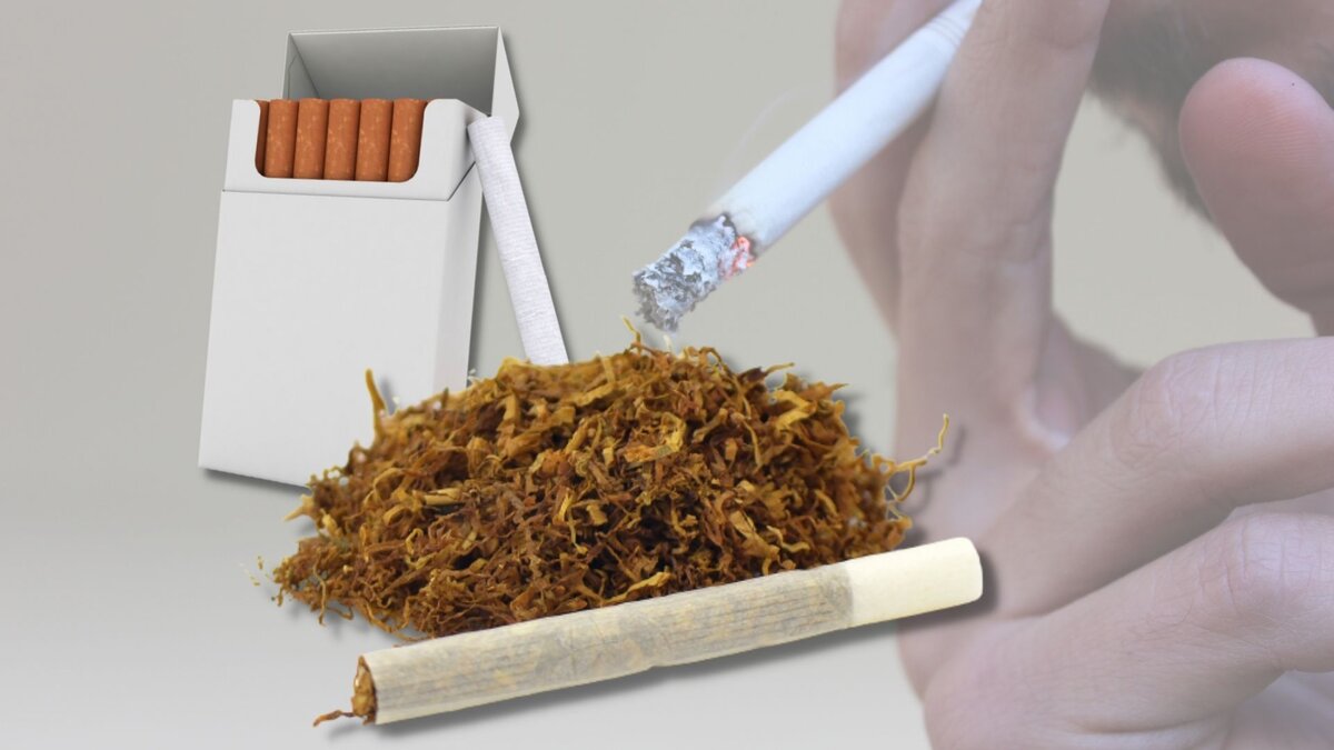 Из чего можно сделать сигарету. Табак для самокруток. Самодельные сигареты. Самодельный табак.