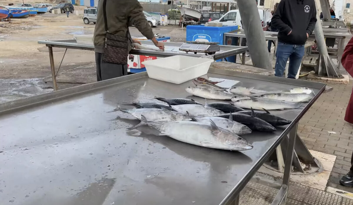 Что можно выловить из моря в Бари