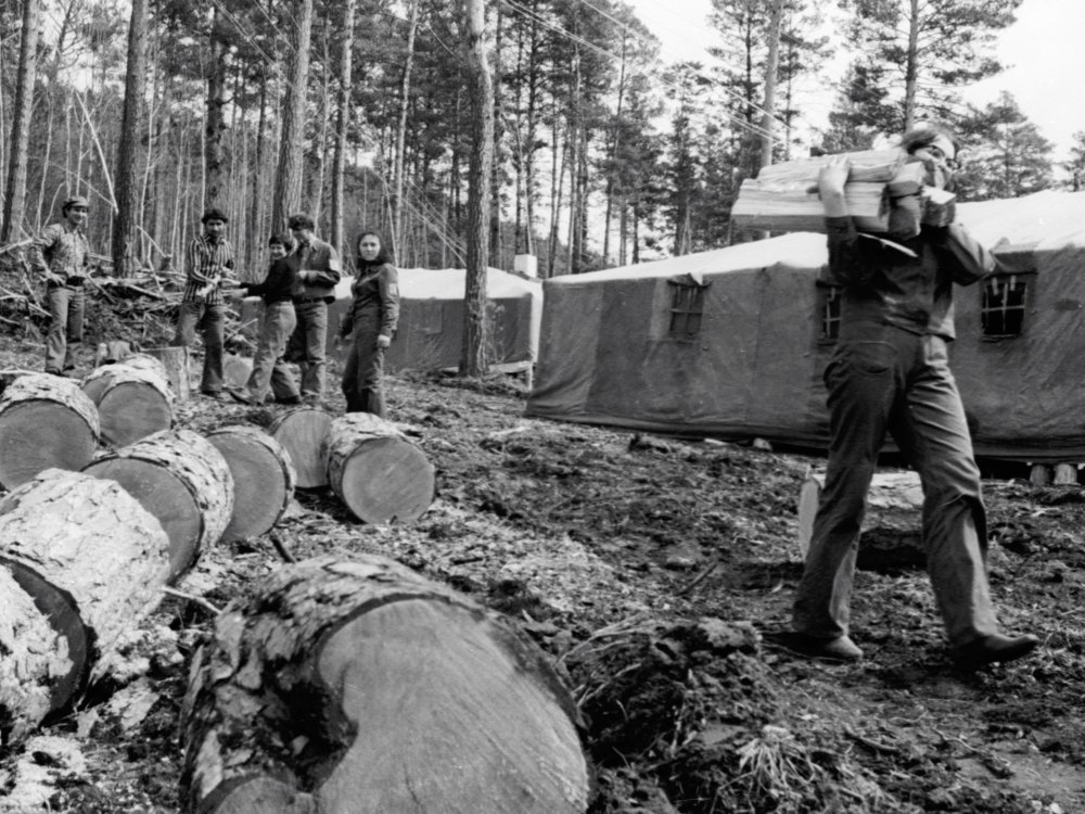 Как вам такой многомесячный "кемпинг" в тайге?