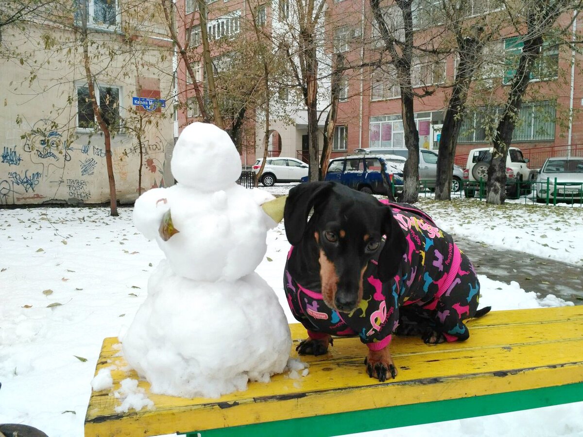 Та самая Ириска