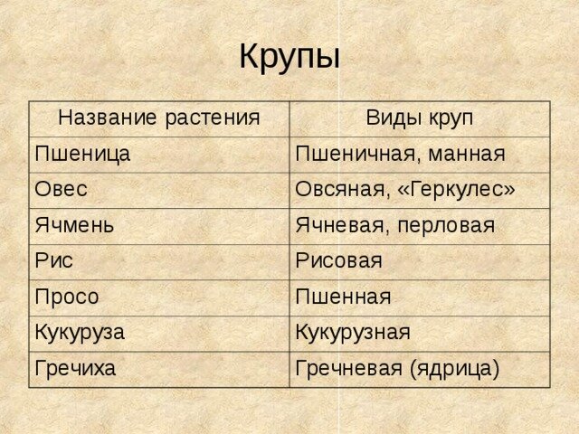 Фото источник slide-share.ru