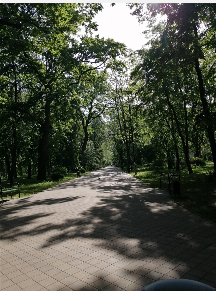 Фото того утра