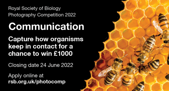 Международный фотоконкурс «Коммуникация»