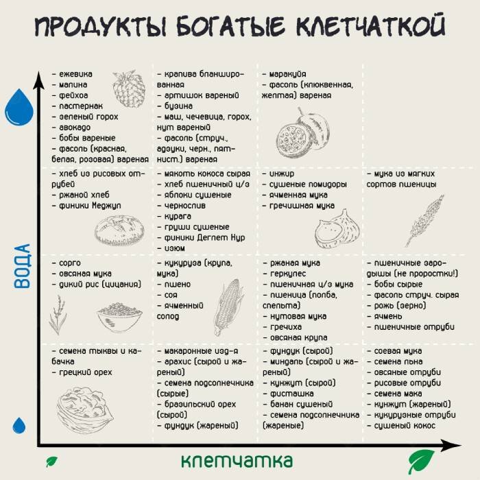 Продукты богатые клетчаткой