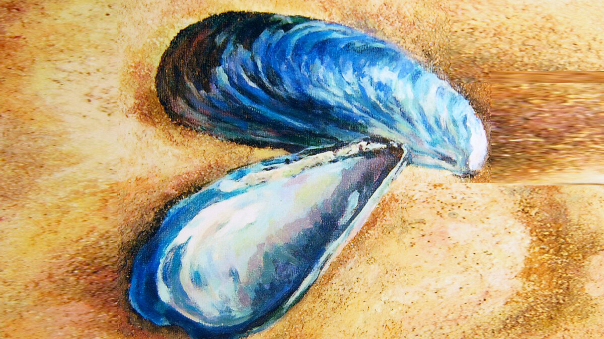 Что можно нарисовать на ракушке