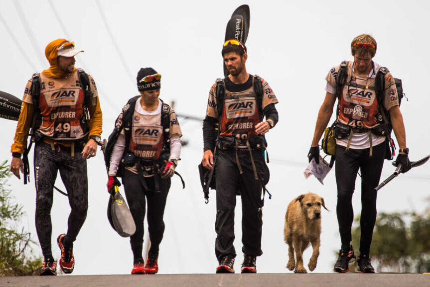     Бездомный пес прошел 690 км за спортсменами, которые участвовали в экстремальной гонке