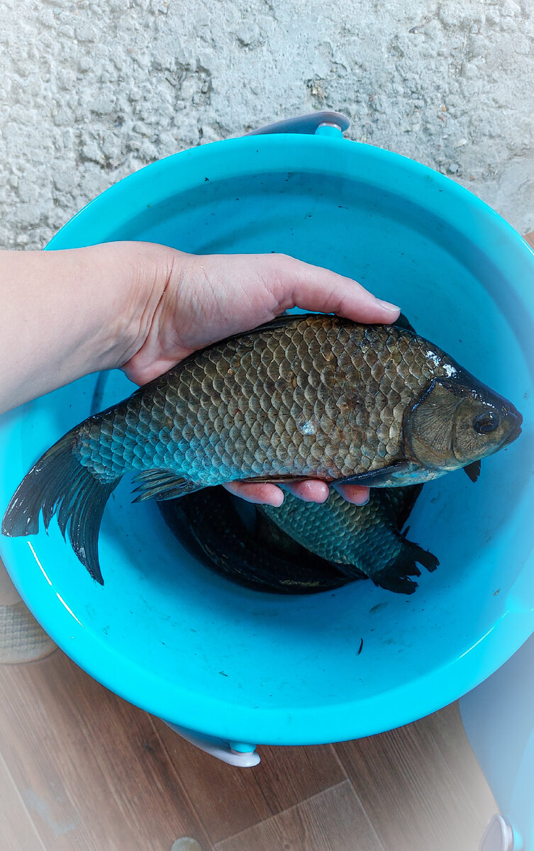 Рыба из озера.