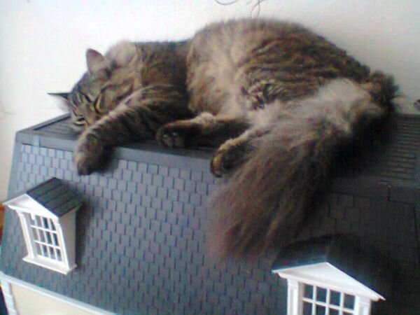 А Бонечка не летал. 