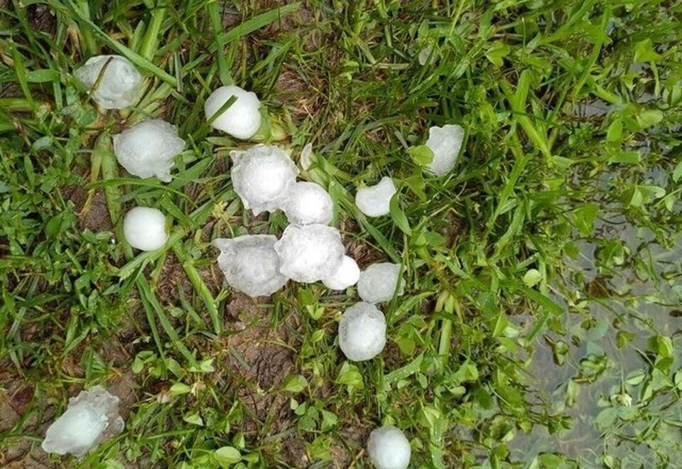     В Волгоградской области 18 августа град прошел в разных районах. Фото: Архив "КП". Екатерина СИМОХИНА