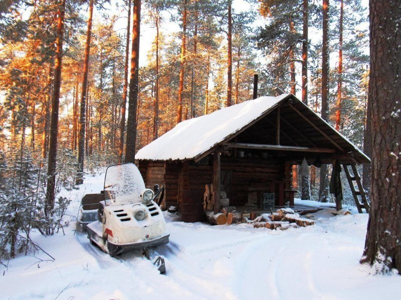 фото из интернета