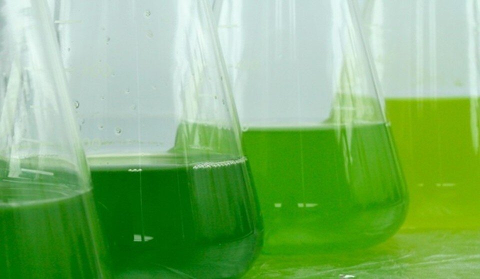     Фото: Филиал «Удмуртский» ПАО «Т Плюс» ВКонтакте @t_plus_udmurtiya