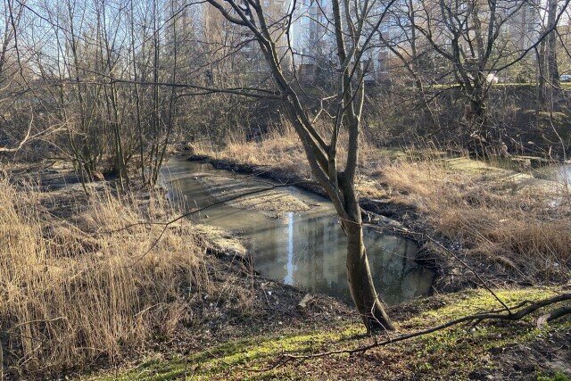   Фото из архива Калининград.Ru