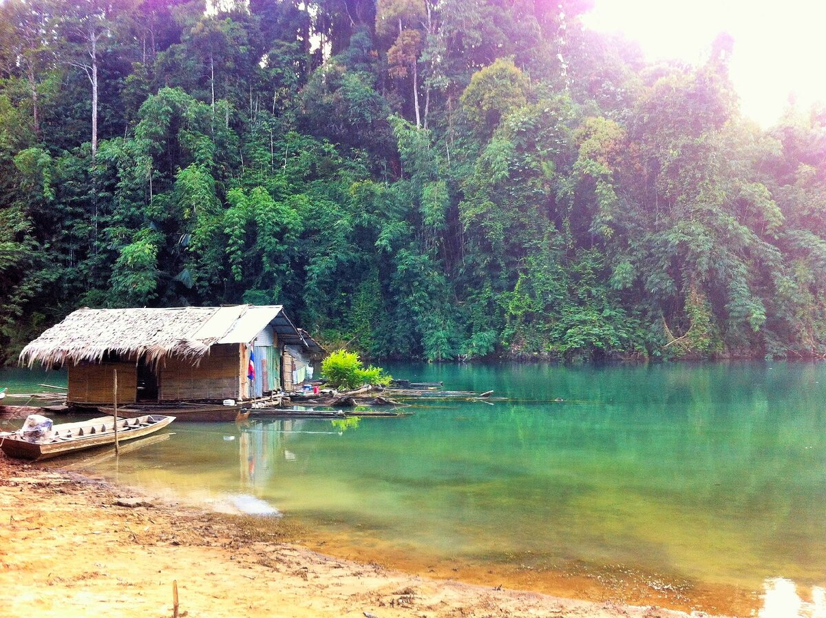 джунгли пхукета