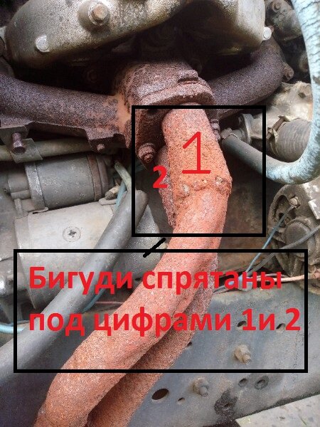 Фото из личного архива