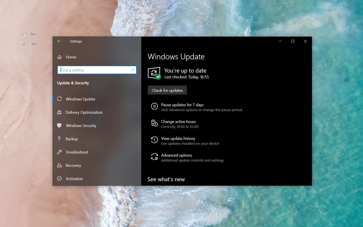 Windows 10