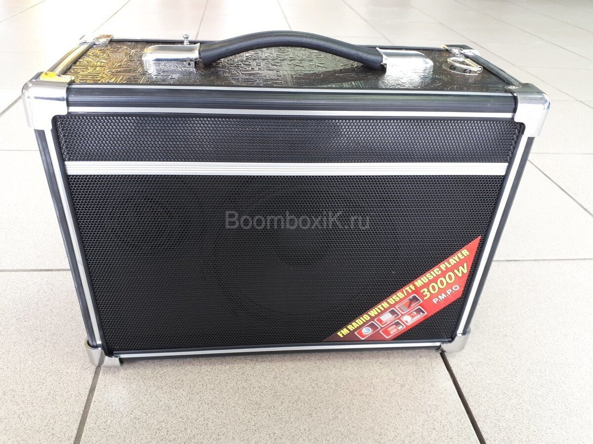 Вид со стороны динамиков