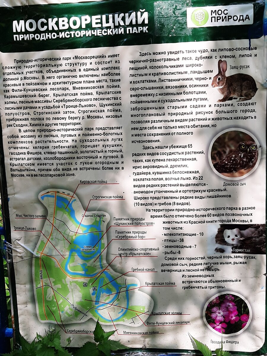 На входе в лесопарк