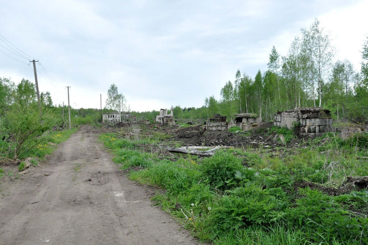 Остатки Лычковского ЛПХ.